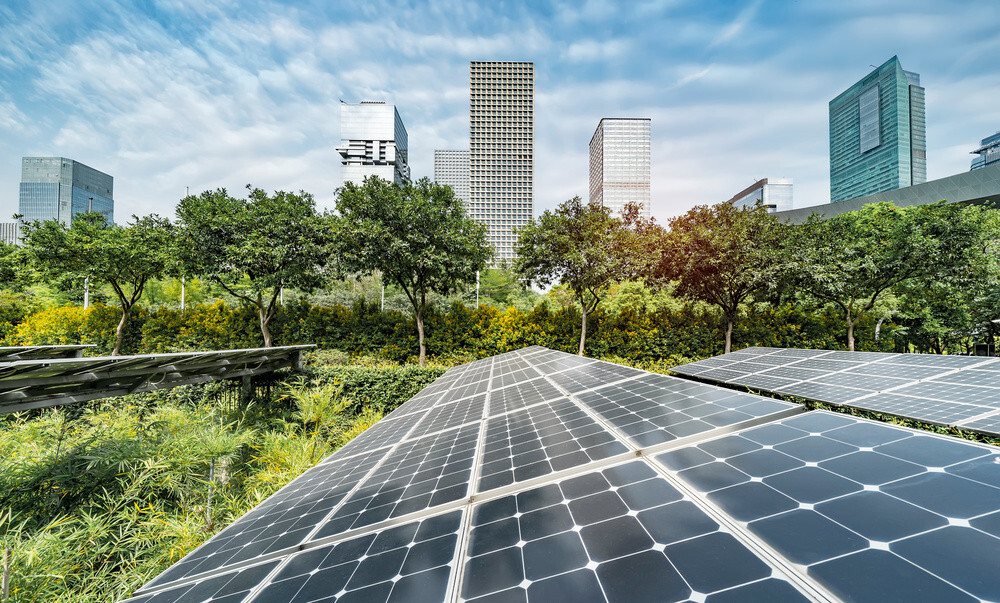 Managing Green Energy Policies