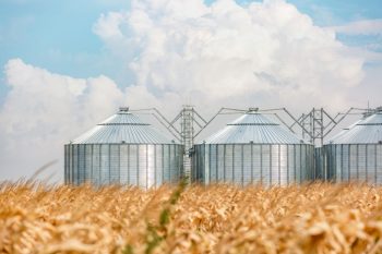 Agribusiness for Aspiring Entrepreneurs