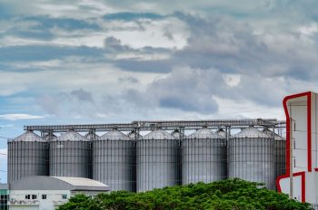 Post-Harvest Management: Innovation and Technology